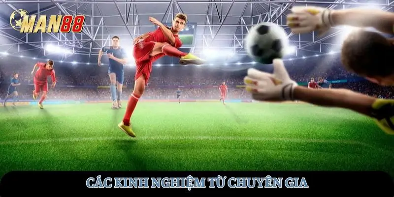 Các kinh nghiệm từ chuyên gia