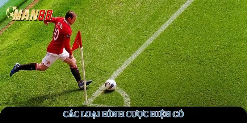 Các loại hình cược hiện có