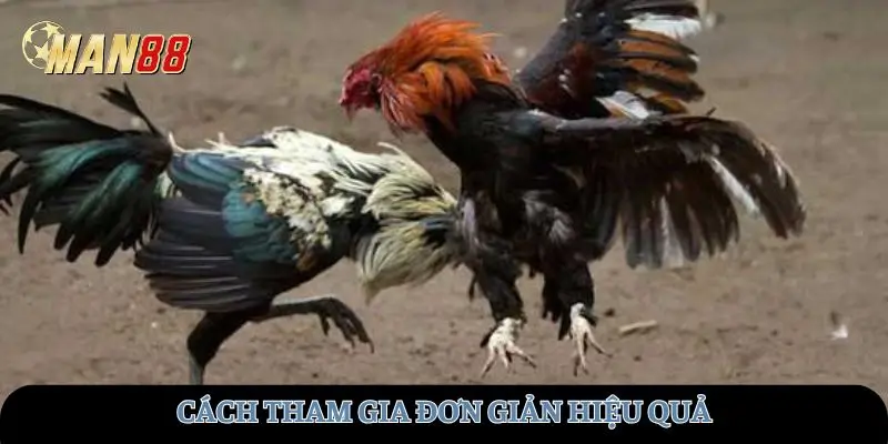 Cách tham gia đơn giản 