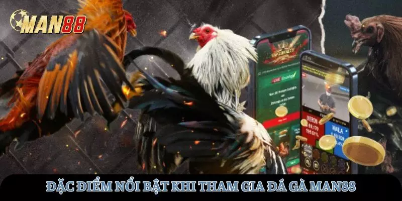 Những đặc điểm nổi bật khi tham gia đá gà tại MAN88