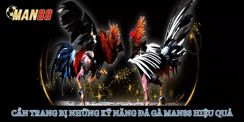 Trang bị những kỹ năng đá gà giúp người chơi chiến thắng 