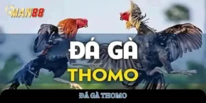 da-ga-thomo