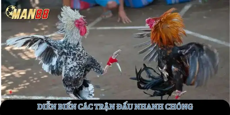 Diễn biến trận đấu nhanh 