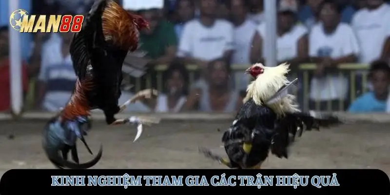 Kinh nghiệm tham gia các trận hiệu quả