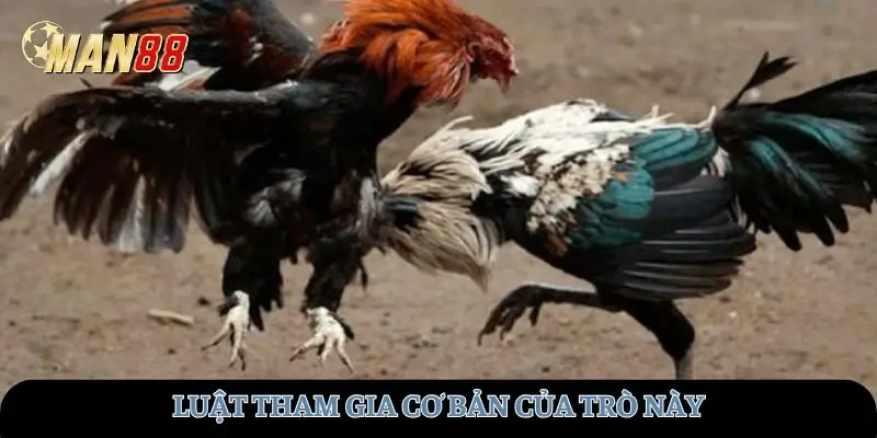 Luật tham gia của trò này