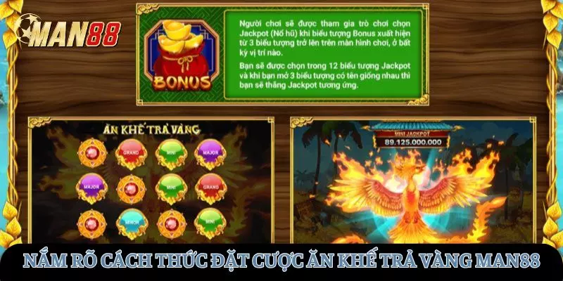 Nắm rõ cách thức đặt cược trước khi tham gia MAN88