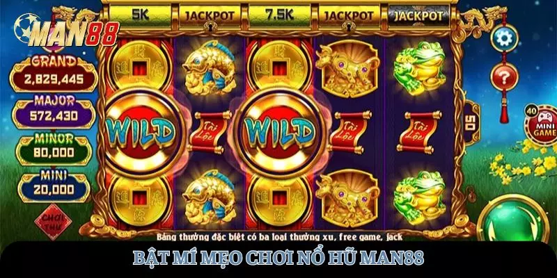 meo-choi-no-hu-man88-avt