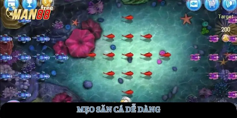 Mẹo săn cá dễ dàng