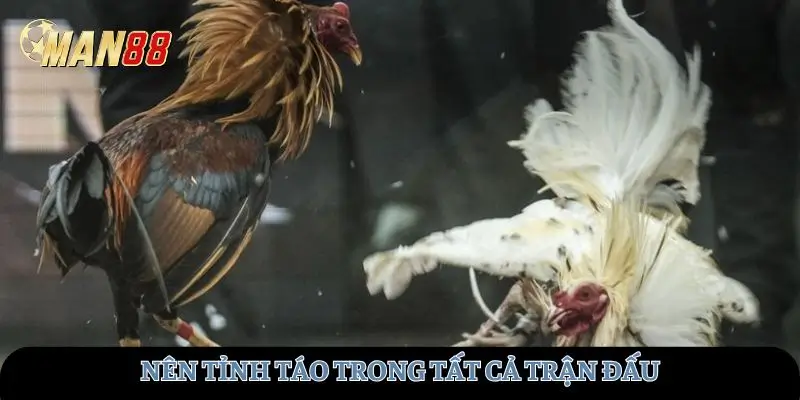 Nên tỉnh táo trong tất cả trận đấu