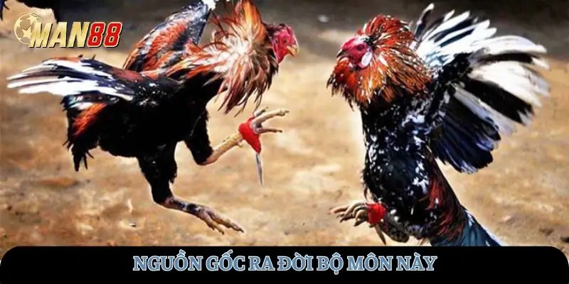 Nguồn gốc ra đời bộ môn này