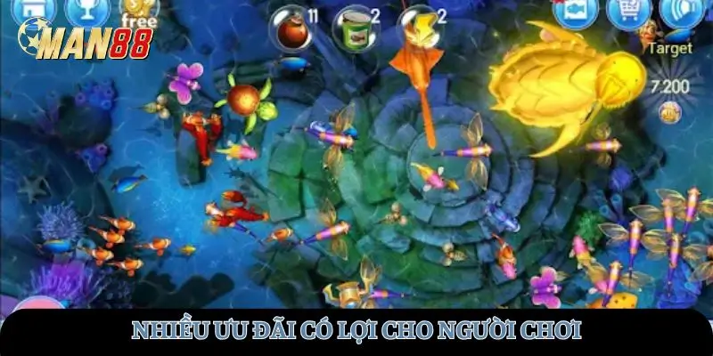 Nhiều ưu đãi có lợi