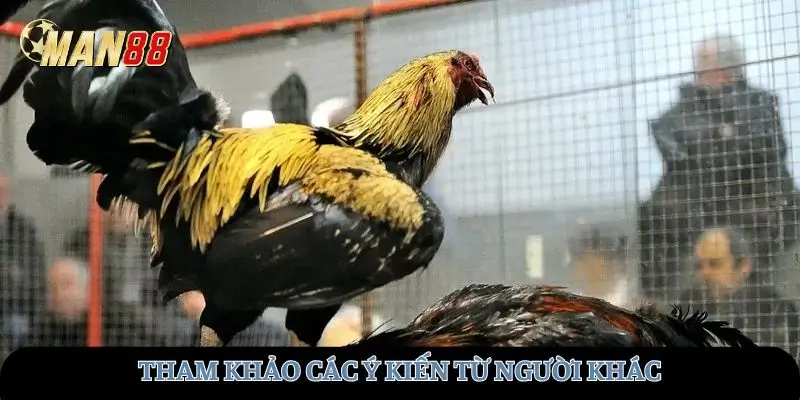 Tham khảo các ý kiến từ người khác