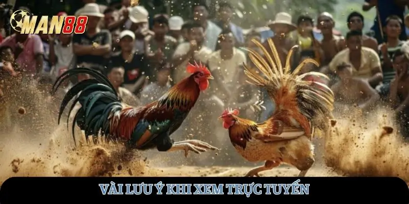 Vài lưu ý khi xem trực tuyến